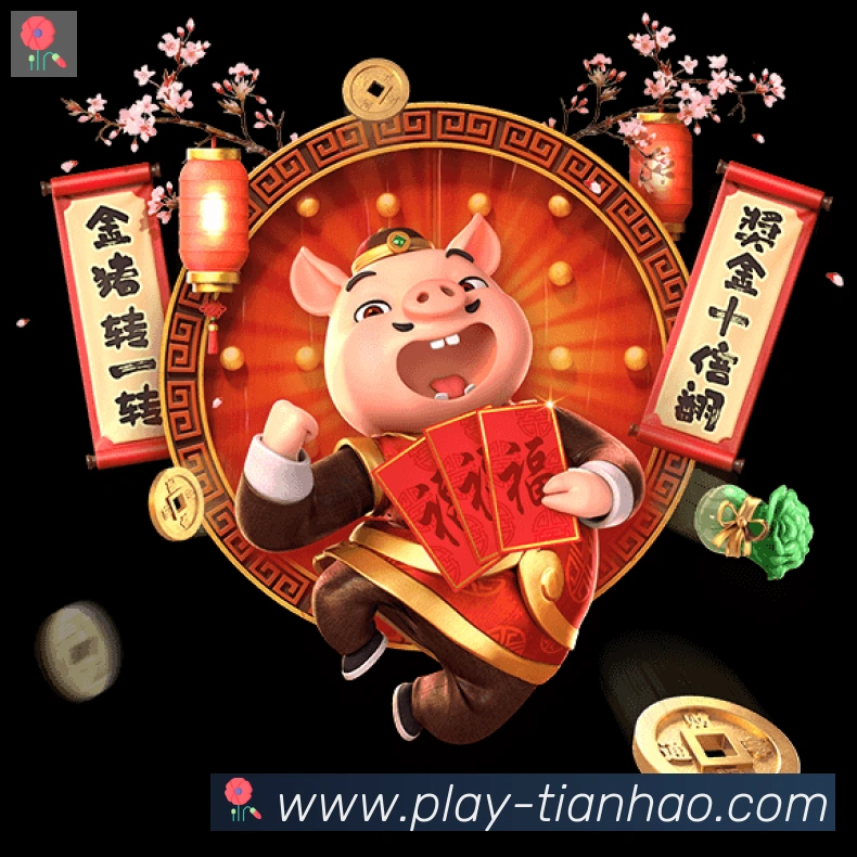 奖项证书